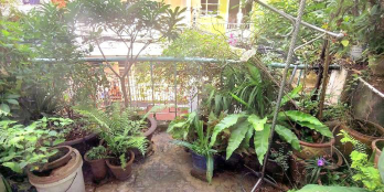 Nhà c4 43m2 (3,7 x 12), hẻm xe hơi Hòa Hưng. Chỉ 7,5 tỷ