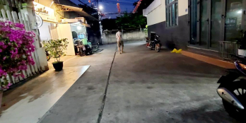 NHÀ C4 4X19 5TỶ GẦN KHU TÊNLỬA