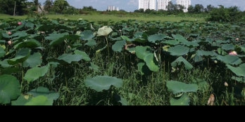 đất nuôi trồng thuỷ sản