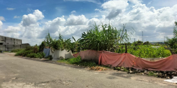 HÓC MÔN, BÁN ĐẤT MẶT TIỀN TIỀN LÂN 13, DT 83x62m 5524m2, CHỈ 120 TỶ