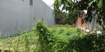 Đất 500m2 xây nhà nghỉ, nhà trọ sát đường 782, kcn Phước Đông