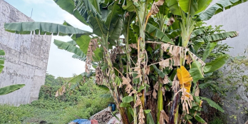  CÒN SÓT LẠI 1 LÔ ĐẤT 72m2 FULL THỔ CƯ - KHU TAM ĐA BRC - ĐƯỜNG XE TẢI VÀO TỚI