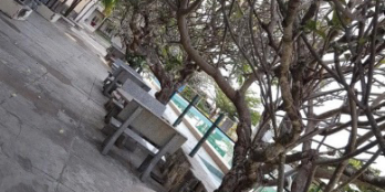 Bán khách sạn 20 phòng MT 95m Võ Thị Sáu, Long Hải, Long Điền, Bà Rịa Vũng Tàu