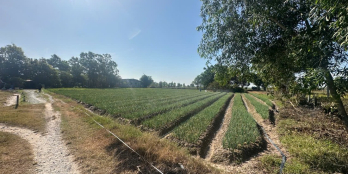 đất gần khu dân cư giáp đường nhựa.