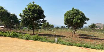 Chỉ 749 triệu có ngay gần 400m2 đất sẵn 100m2 thổ cư.Tại Thị Trấn Nam Ban,Lâm Hà