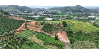 Anh tôi cần bán miếng đất tại xã Nam Hà gần trung tâm.