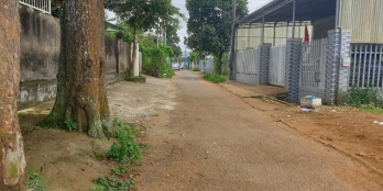 Chính chủ bán 1050m2 có 270m2 thổ cư đường Lý Thường Kiệt,P1, Bảo Lộc, Lâm Đồng