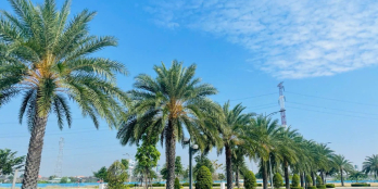 ĐẤT NÊN ĐỐI DIỆN ECO PARK LIỀN KỀ KOSY CHỈ 1,9tỉ/NỀN