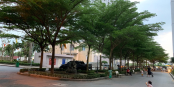 Bán nhà về quê giá 1.4 tỷ /55m2 đã có sổ hồng,căn hộ HQC Plaza