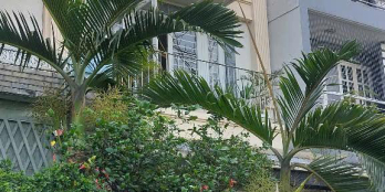 Nhà bán đường số 1 KDC Nam Long - Trần Trọng Cung, Q.7(5×22m) 5 lầu, giá 18.5 tỷ