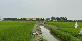 Bán đất 14646.2m² giá 10.25 tỷ Phường Châu Đốc