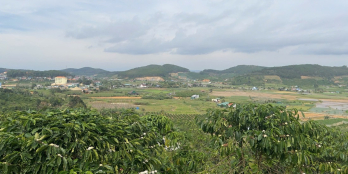 đất cà phê quy hoạch thổ cư mặt tiền ql28b 