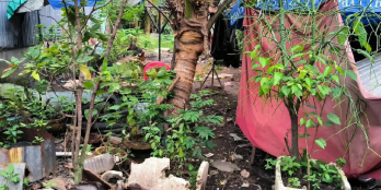  CẦN BÁN GẤP ĐẤT TP. VĨNH LONG 