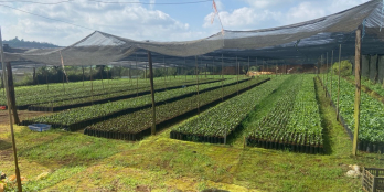 Bán 1000m2 với 400m2 thổ cư, gần mặt tiền đường Lớn Cao Ba Quát và gần Lý Thường