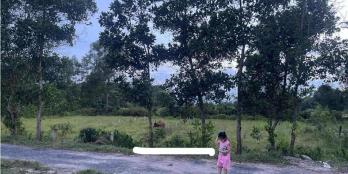 Bán Nhanh Lô Đất Gần chợ Ngã Tư Sòng - Quảng Trị