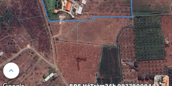 chính Chủ Cần Bán - Homstay Diện Tích hơn 4000m2 trên sổ - thực tế sử dụng hơn