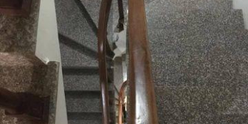 Cho thuê nhà phố văn cao, 30m2x4 tầng, MT6m giá chỉ từ 10 triệu