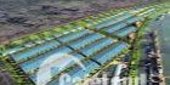 ĐẤT KHU CÔNG NGHIỆP CẦU CẢNG PHƯỚC ĐÔNG