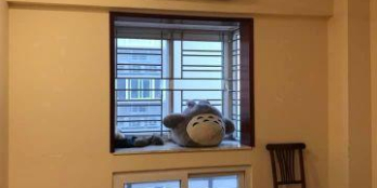 Cho thuê chung cư mini Hoa Lâm Long Biên, Full đồ, giá 5 triệu/tháng, LH:0983957300