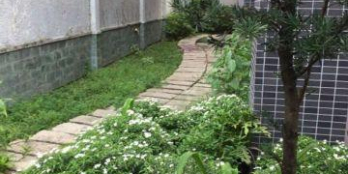 Cho thuê villa nội bộ Trần Não 5PN đủ nội thất giá 2500$