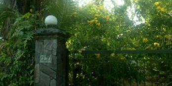 Cho thuê mặt bằng khu dân cư đông đúc, gần trường học, BV,  chợ , DT; 2000m2, giá; 12tr/tháng