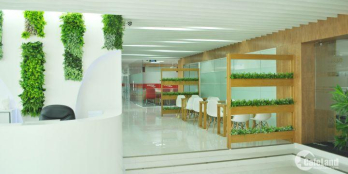 Cho thuê văn phòng truyền thống, văn phòng trọn gói gần sân bay Tân bình