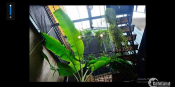 Cho thuê lại quán cafe đang kinh doanh tốt ngay tại phố đi bộ Trịnh Công Sơn giá chỉ 30tr/tháng