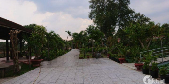 Cho thuê 0,5 hecta (5000m2) đất sân vườn đã có cơ sở hạ tầng hoàn chỉnh giữa trung tâm TP. Tây Ninh