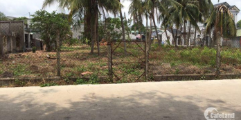 Chính chủ cần cho thuê đất tại Chánh Nghĩa, Bình Dương.