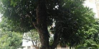 Cho Thuê nhà Trung Văn 120m2x4t MT10m 50tr/tháng