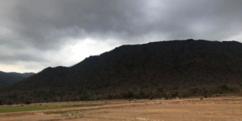 Cần tiền bán gấp 10000m2 đất trồng cây hàng năm tại xã Phan Điền, Bình Thuận