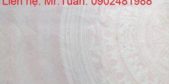 Bán lô đất Khả Lễ 1 tại Phường Võ Cường, TP.Bắc Ninh