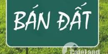 Cần tiền bán gấp lô đất 81m2 tại khu Đồng Quán, Võ Cường, TP.Bắc Ninh