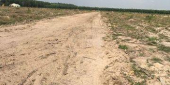 Đất Long Nguyên - Bàu Bàng Sát Bên KDC Nam Long