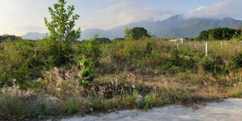 Bán đất gần Đầm Thủy Triều chính chủ, đường bêtông