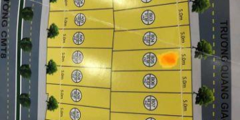 Đất Đường Trương Quang Giao - Thông Nguyễn Hữu Thọ Chân Cầu Nguyễn Tri Phương