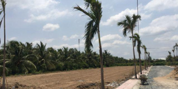 Con bệnh nặng cần tiền phẩu thuật gấp nên cần bán gấp lô đất MT Quốc Lộ 50 giá 1,2 tỷ LH : 0368057451