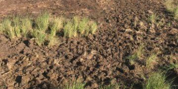 Bán đất nông nghiệp, đường 4m, có thể chuyển lên đất thổ