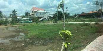 Đất mặt tiền QL50, sinh lời nhanh, thích hợp đầu tư lướt sóng