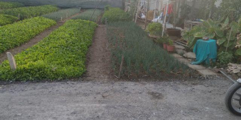 Bán đất thổ cư MT đường nhựa huyện Cần Giuộc, Long An, SHR, giá tốt