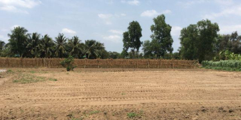 Về quê dưỡng già nên Anh Tư cần bấn lại lô đất thổ cư MT 330m2 Cần Giuộc giá 1,8 tỷ LH : 0368057451