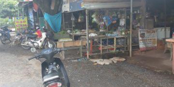 BÁN ĐẤT CHƠN THÀNH GIÁ RẺ CỰC SỐC TÌM NĂNG SINH LỢI CAO