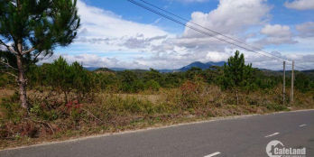 Bán đất biệt lập hẻm 5m đường Nam Hồ , p11, Đà Lạt