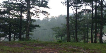 Bán Đất Đầu Tư Sinh Lời Măng Lin - P7 - Đà Lạt - Sổ Riêng Xây Dựng