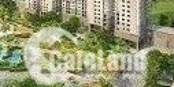 Đất mặt tiền đường Quốc lộ- giá chỉ 350tr