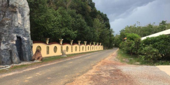 Bán Đất Dầu Tiếng Bình Dươnng DT 250m2