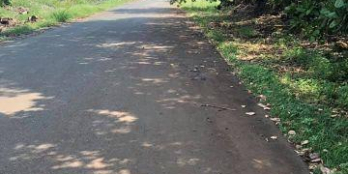 Đất Định Quán giá rẻ đã có cho mọi người rồi ạ- ai muốn đặt hàng thì gọi Trình nhé