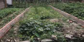 CẦN BÁN 100M2 (4,5X20M) ĐẤT THÔN ĐÌNH TRUNG, XÃ XUÂN NỘN, ĐÔNG ANH, ĐƯỜNG RỘNG . LH: 0964.395.392