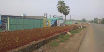 Bán đất tại dự án khu đô thị Cát Tường Phú Hưng, Đồng Xoài, Bình Phước, diện tích 100m2, giá 827Tr