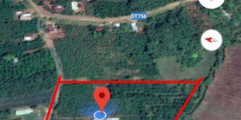 CẦN BÁN ĐẤT VƯỜN